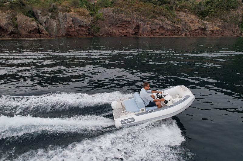 Agilis Jet tender 305C