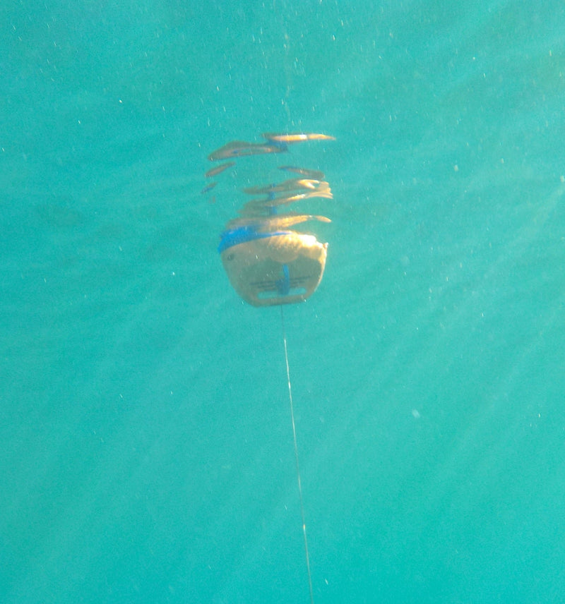 Anchoring buoy Grippy Heavy