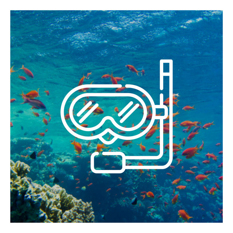 ACTIVITY SET / WATERSKIING / 4