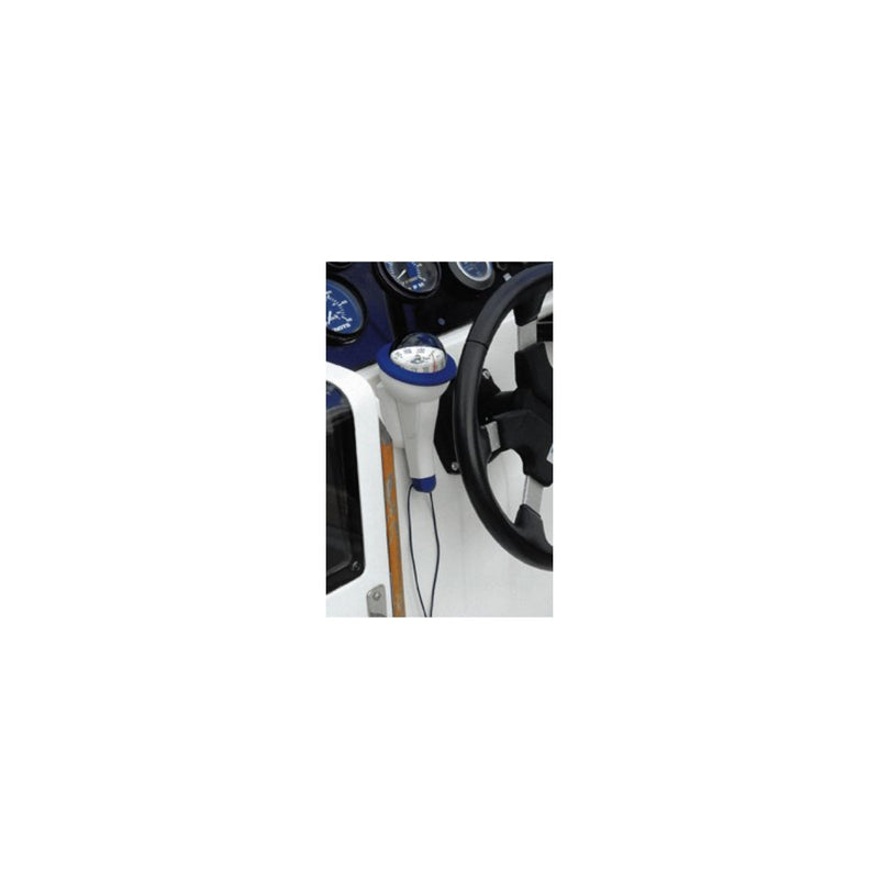 IRIS 100 COMPASS