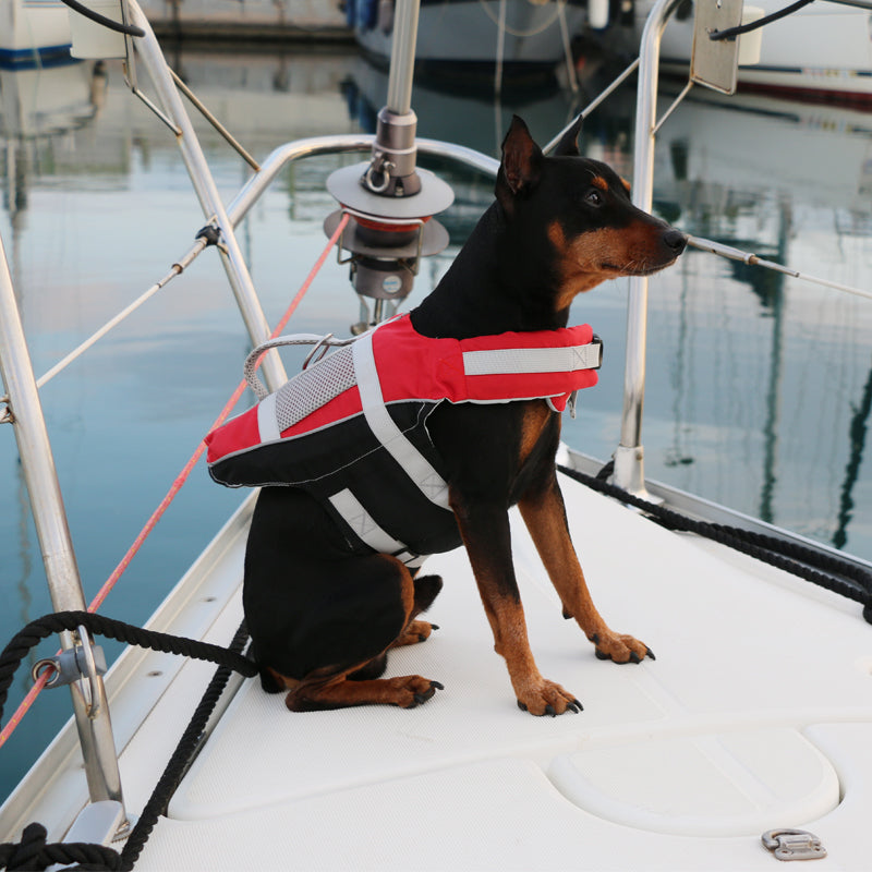 Pets on board