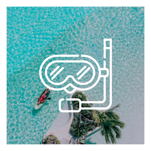 ACTIVITY SET / SUP